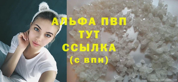 стаф Горняк